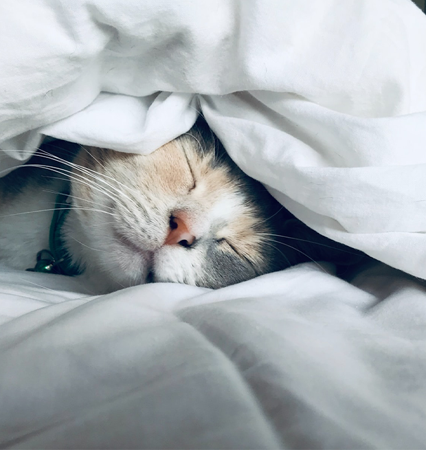 How to Break the Anxiety-Fear-Avoidance Cycle